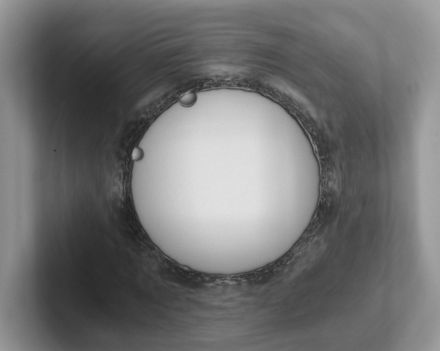 X0000101440869200807211210