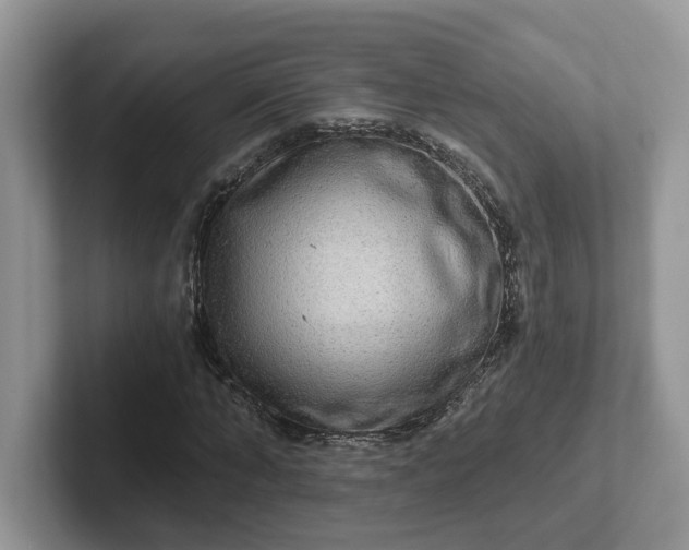 X0000101440870200807211210