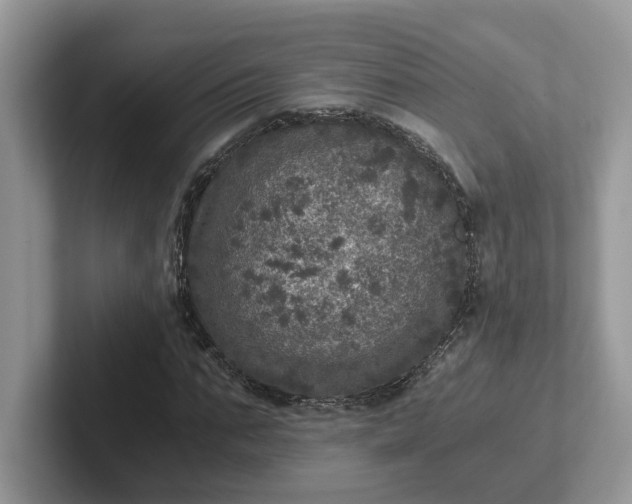 X0000101440871200807211210