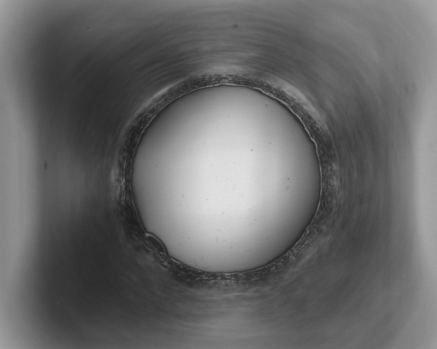 X0000101440872200807211210