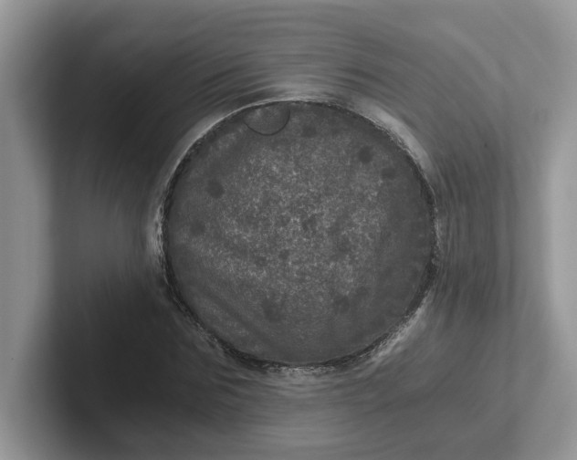 X0000101440875200807211210