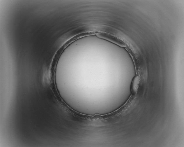 X0000101440876200807211210