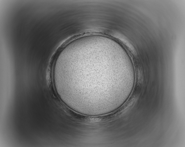 X0000101440878200807211210