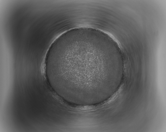 X0000101440879200807211210