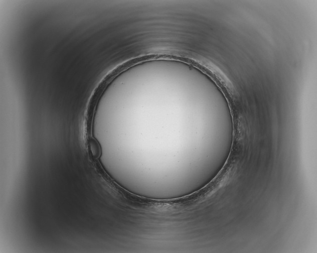 X0000101440880200807211210