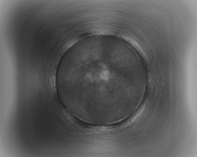 X0000101440881200807211210