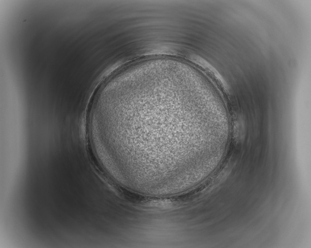 X0000101440882200807211210