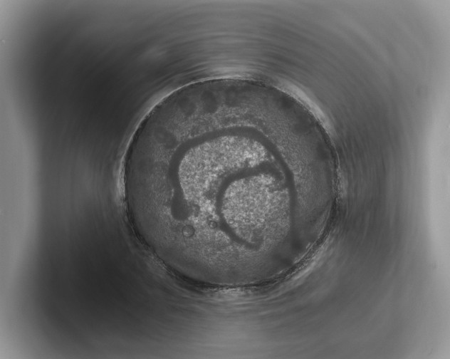 X0000101440883200807211210