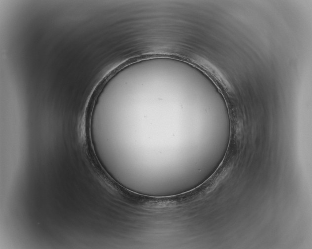 X0000101440884200807211210