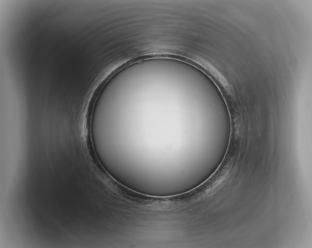 X0000101440885200807211210