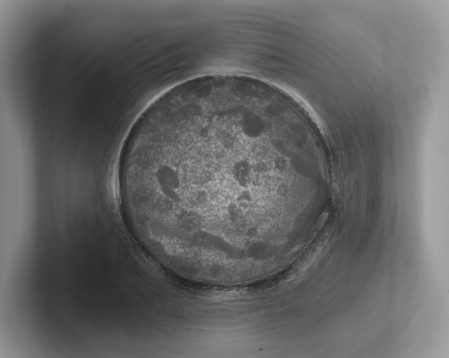 X0000101440887200807211209