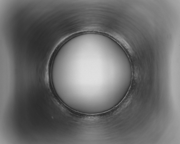 X0000101440888200807211209