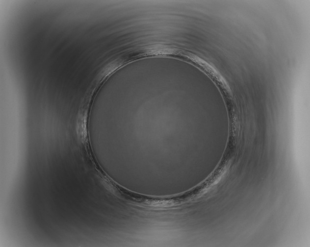 X0000101440889200807211209