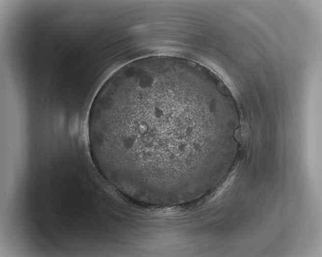 X0000101440891200807211209