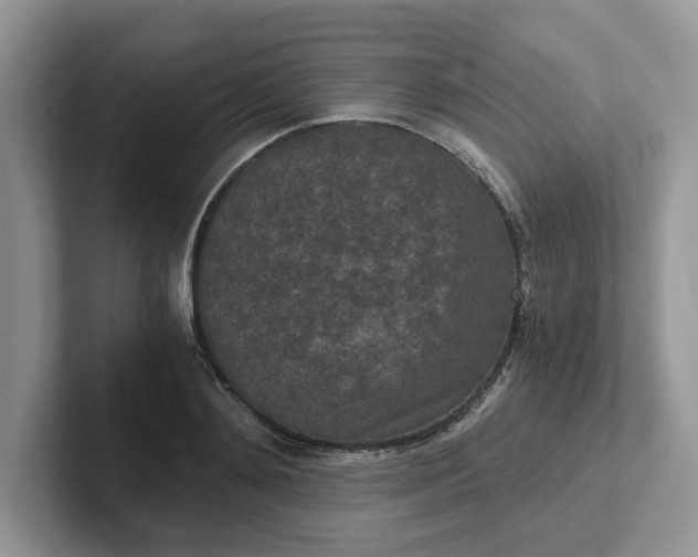 X0000101440892200807211209