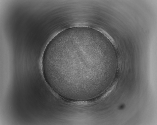 X0000101440893200807211209