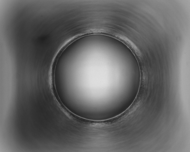 X0000101440894200807211209