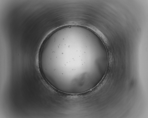 X0000101440896200807211209