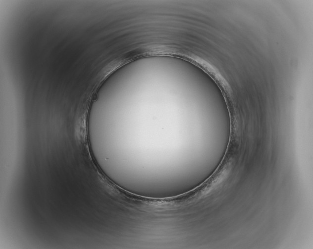 X0000101440897200807211209