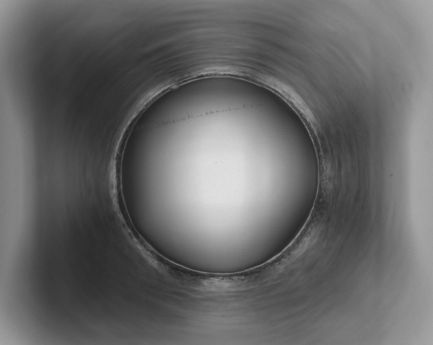 X0000101440898200807211209