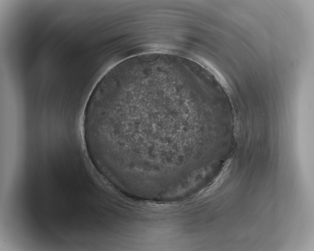 X0000101440899200807211209