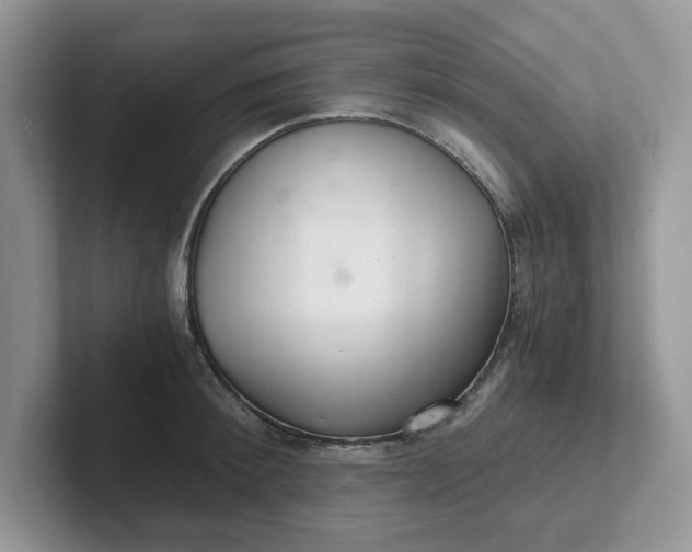 X0000101440900200807211209