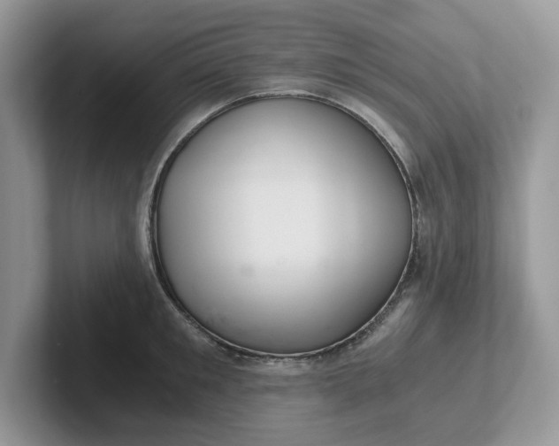 X0000101440901200807211209