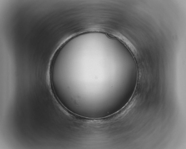 X0000101440902200807211209