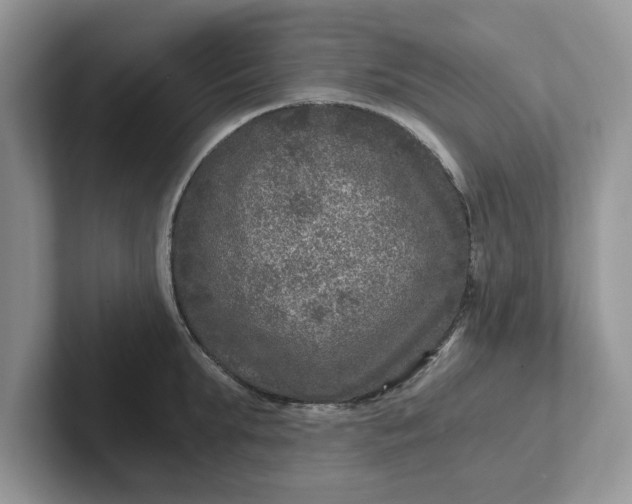 X0000101440903200807211209