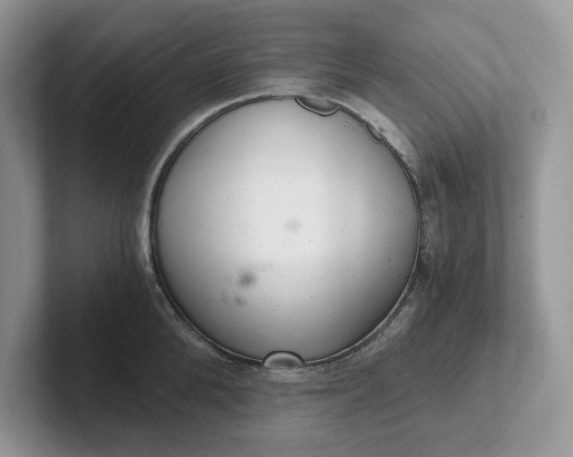 X0000101440904200807211209