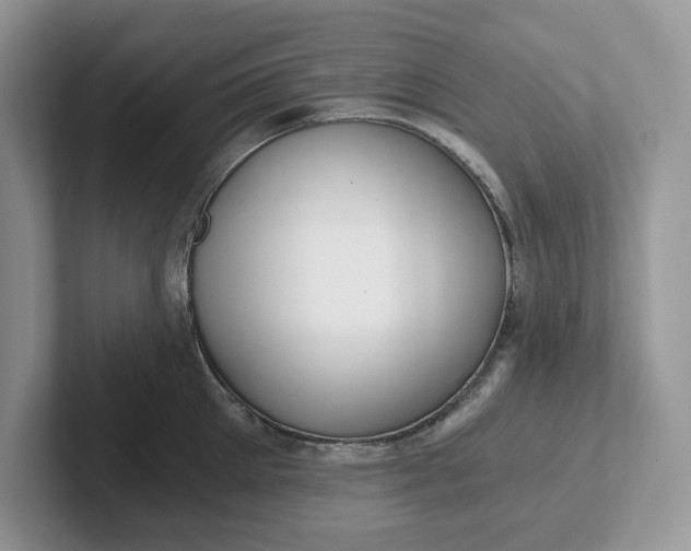 X0000101440905200807211209