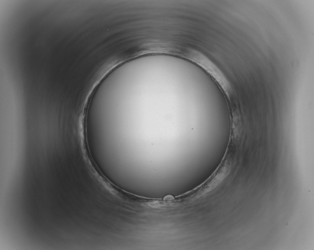 X0000101440906200807211209