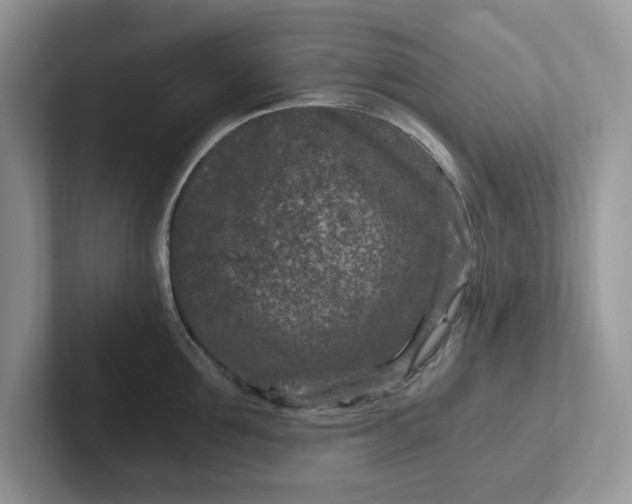 X0000101440907200807211209