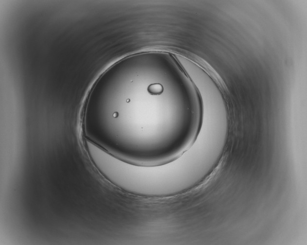 X0000101440908200807211209