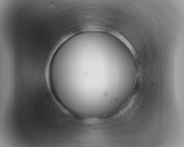 X0000101440909200807211209