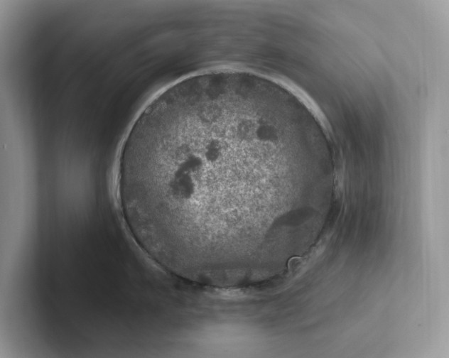 X0000101440911200807211209