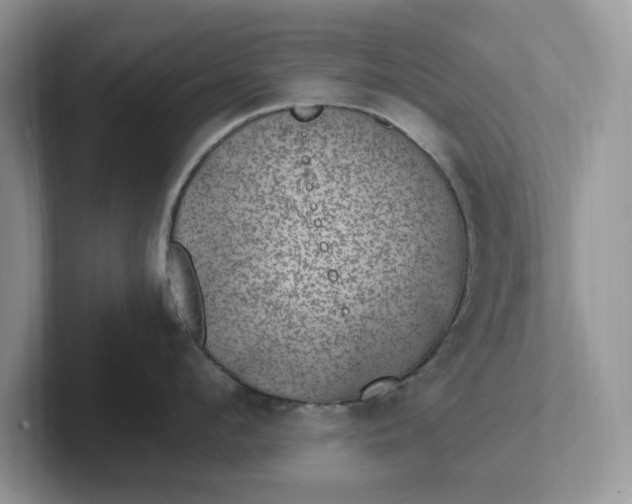 X0000101440912200807211209