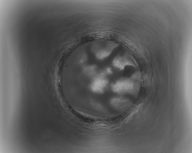 X0000101440913200807211208