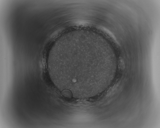 X0000101440918200807211208