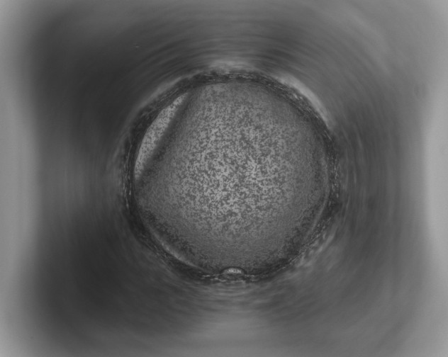 X0000101440919200807211208