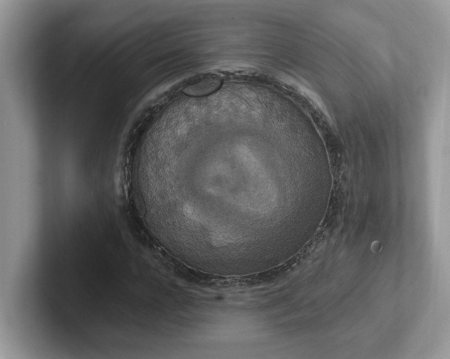 X0000101440920200807211208