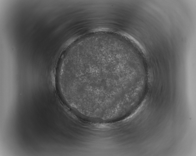 X0000101440921200807211209