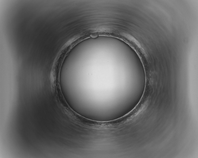 X0000101440922200807211209