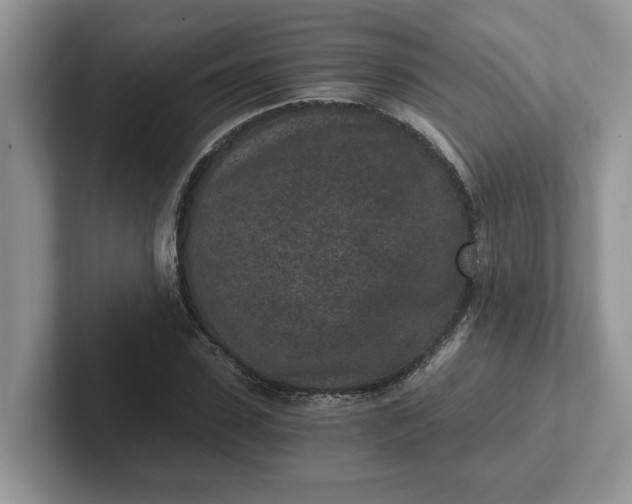 X0000101440923200807211209