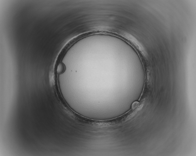 X0000101440924200807211209