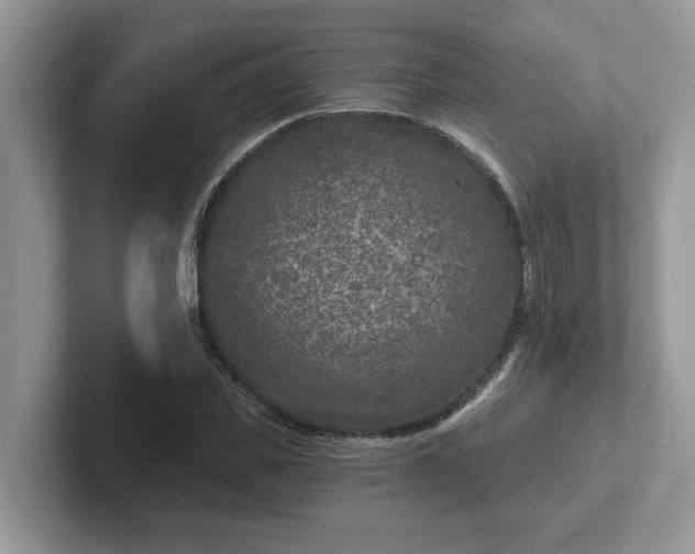 X0000101440925200807211209