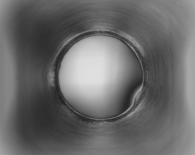 X0000101440926200807211209