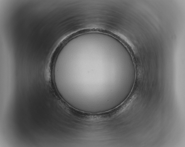 X0000101440927200807211209