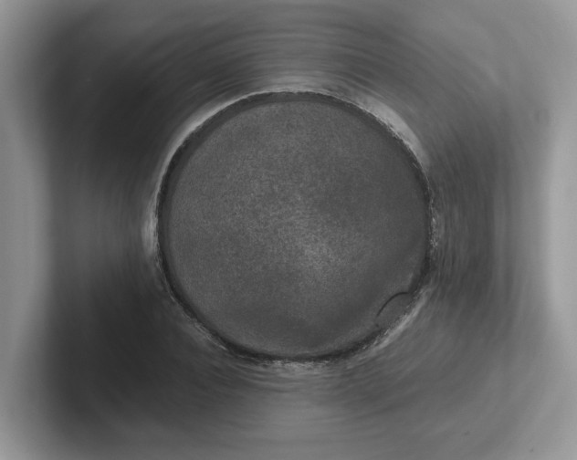 X0000101440928200807211209