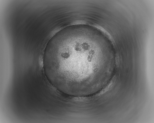 X0000101440929200807211209